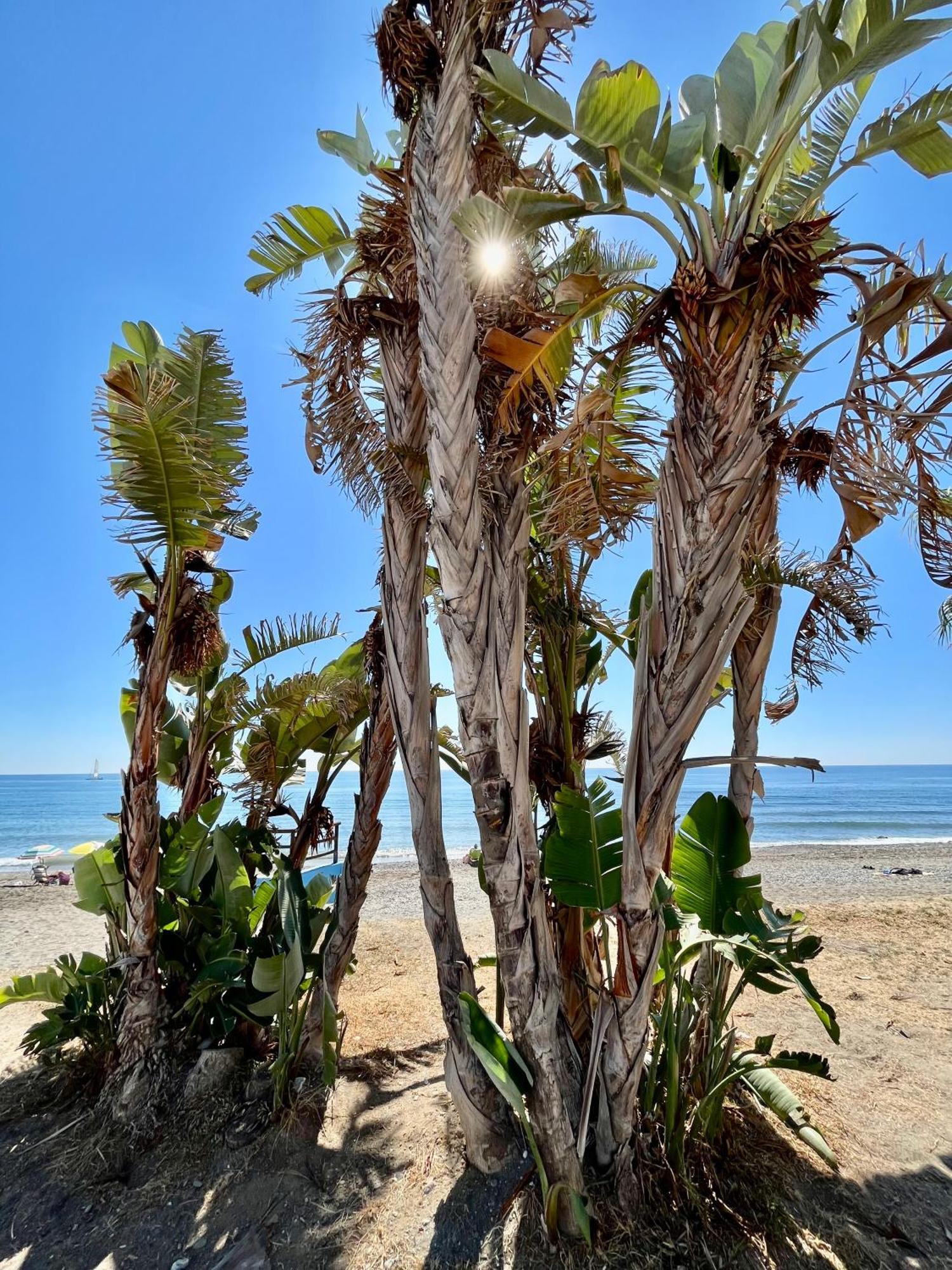 Apartamento De Playa Reformado Rincon de la Victoria Luaran gambar